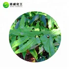 Leaf Powder Price Leafpowder Herbal Epimedium Extract Powder Factory Supply Herbal Epimedium Sagittatum Plant Leaf Extract Icariin Powder 98% Price