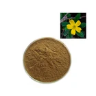 Men's Healthy Care Damiana Extract 100:1 Damiana Leaf Damiana Powder