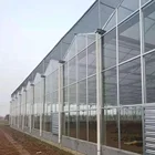 Commercial insulated glass greenhouse