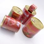 High quality gino tomato paste 800g in ghana