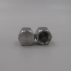 Hight quality stainless steel 304 316 hex end cap