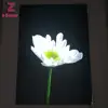 Ultra thin HD UV printing frameless led backlit fabric light box for advertising
