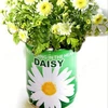 wholesale innovate Natural Herb Seeds Bonsai Flower bonsai pot Flower seed Flower tin can