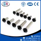 Stainless Steel ISO 7380 Button Head Black Powder Coated Screws