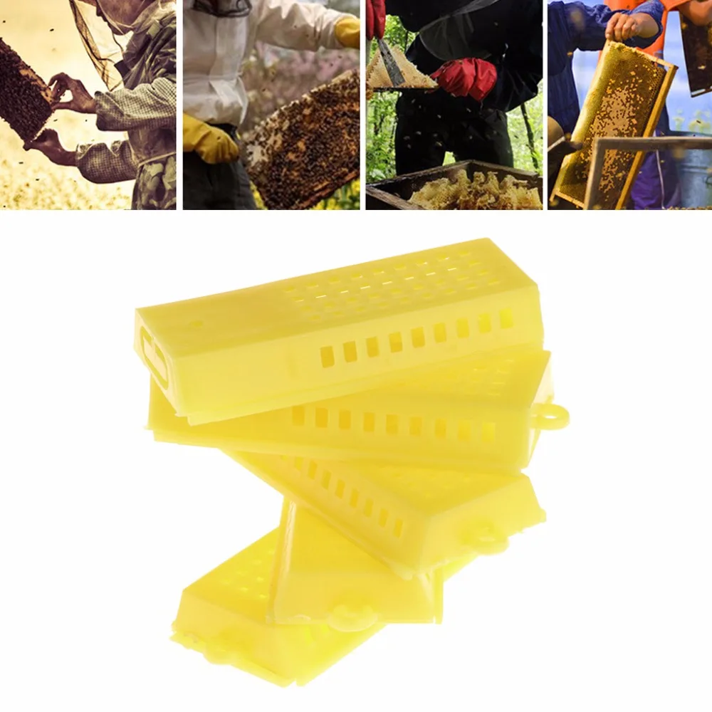 Beekeeping Stainless Steel Yellow Hive Tools x 2