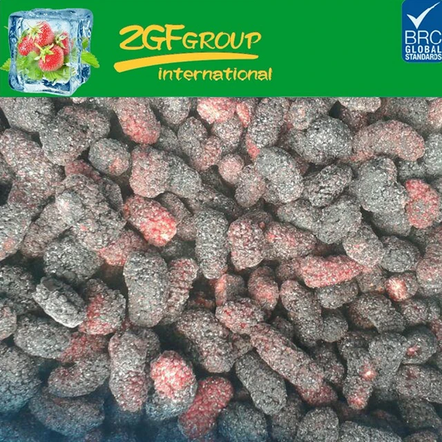 frozen healthy organic mulberries mulberry black frozen iqf