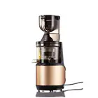 Top sale cheap price hot factory directly masticating juicer