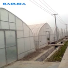 Agriculture Poly Tunnel Green Steel Frame House