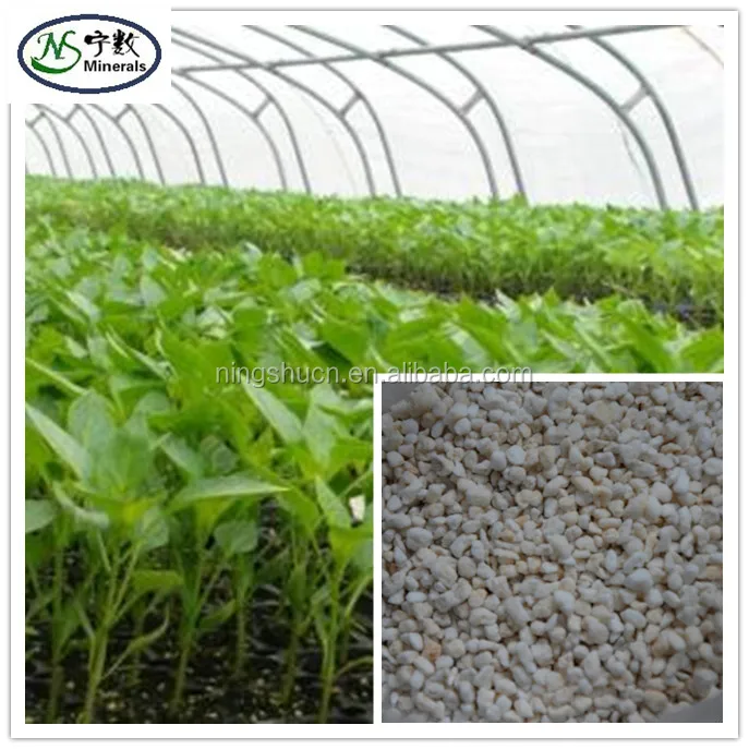 Hydro farm Super Coarse Perlite cheap price