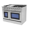 New designed freestanding 48 hyxion gas range with double oven