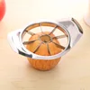 Good Quality New Style Kitchen Gadgets Stainless Steel Apple Cutter / Corer Slicer With Flexible Pusher