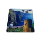 China Manufacture SEDEX BSCI Promotion Gift 3d souvenir business card fridge magnet