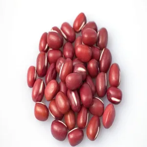 red beans,adzuki bean