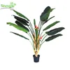 /product-detail/new-product-plastic-artificial-traveller-banana-tree-ornamental-plant-60202016670.html