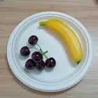 Disposable compostable sugarcane pulp plate in thailand bagasse plate biodegradable tableware