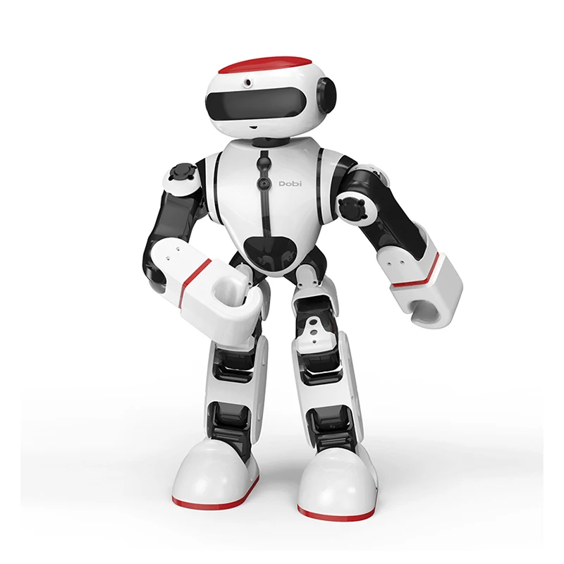 RB-13K250 Dobi Robot(1)