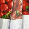 Warp Knitted Polyester Sublimation Printing Fabric Advertisement Textile
