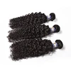 Natural hair brazilian afro kinky 100% virgin hair wave long lasting brazilian remy human hair kinky curly weave
