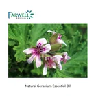 Farwell CAS 8000-46-2 Natural Geranium Essential Oil