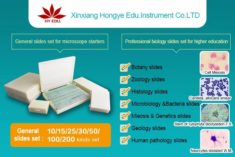 Exquisite slide case 25piece microscope prepared slides wooden box