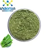 /product-detail/hot-selling-spinach-extract-powder-60145456184.html