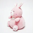 Plush Cute Fun Cute Rabbit Doll Animal Stuffed Weighted Plush Toys