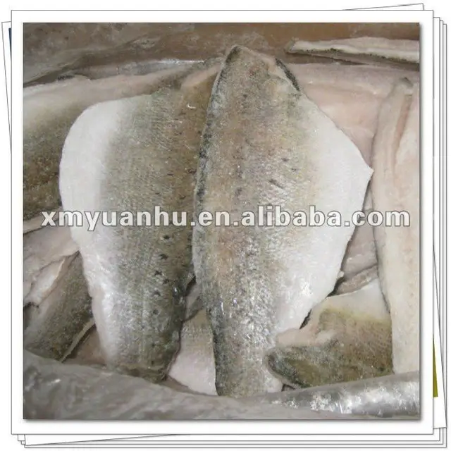 frozen pacific ocean nile perch fillet