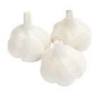 Garlic Garlic 2020 Selling The Best Quality Cost-effective Products White Garlic