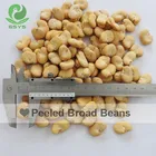 Broad Beans Peeled Broad Beans Origin In Qinhai China For Sale With Export Fava Beans
