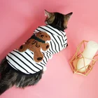 Custom Fashionable Pet Clothes knitting patterns cat clothes T Shirt Designer Cat hoodie