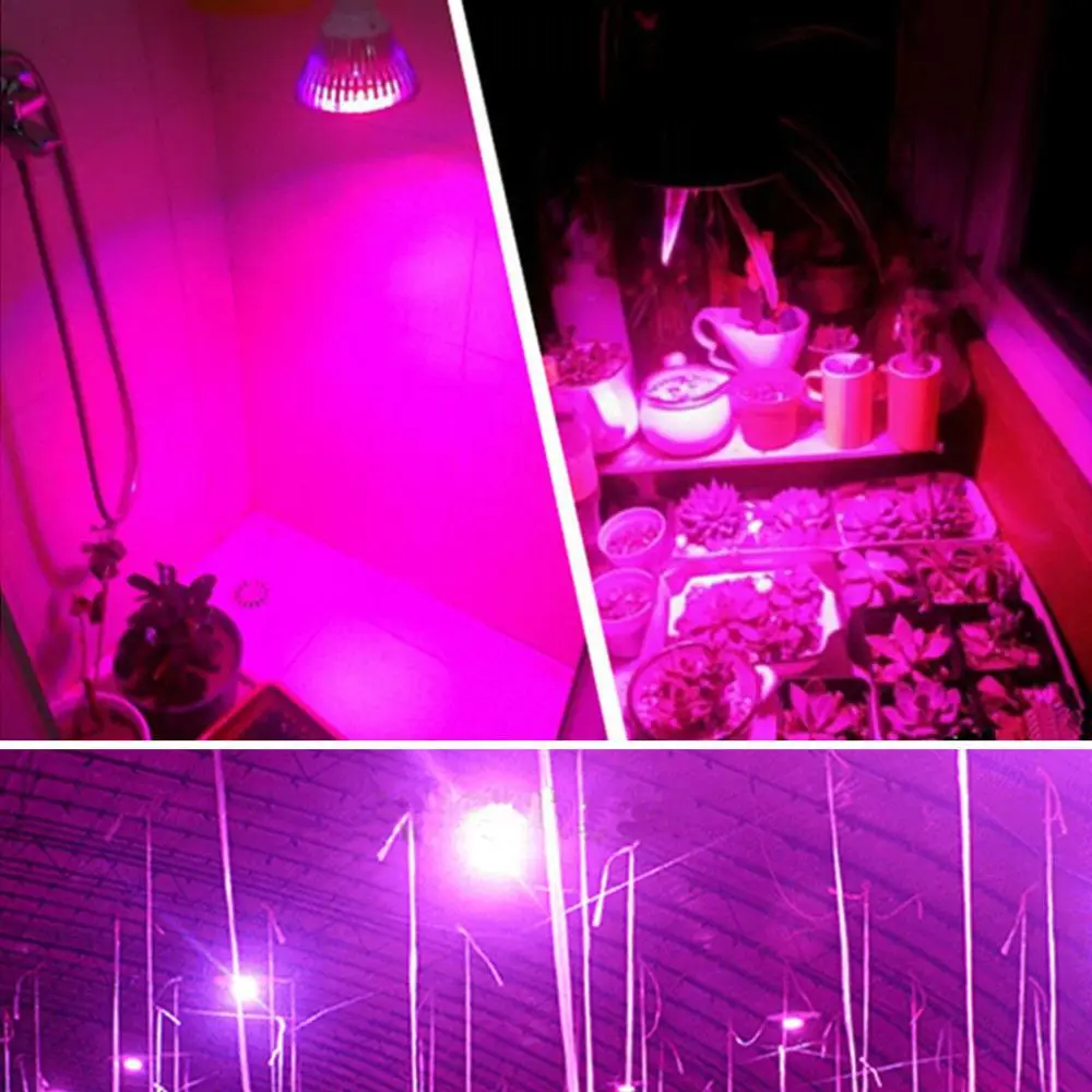 1pcs for sale grow led light E27 Indoor 7W 6 Red 1 Blue Hydroponic Grow Led Lamp for Flower Growth Vegetable Greenhouse