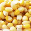 Canned fresh sweet corn kernel 340g vaccum pack