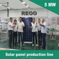 2017 NEW 10 MW Solar Panel