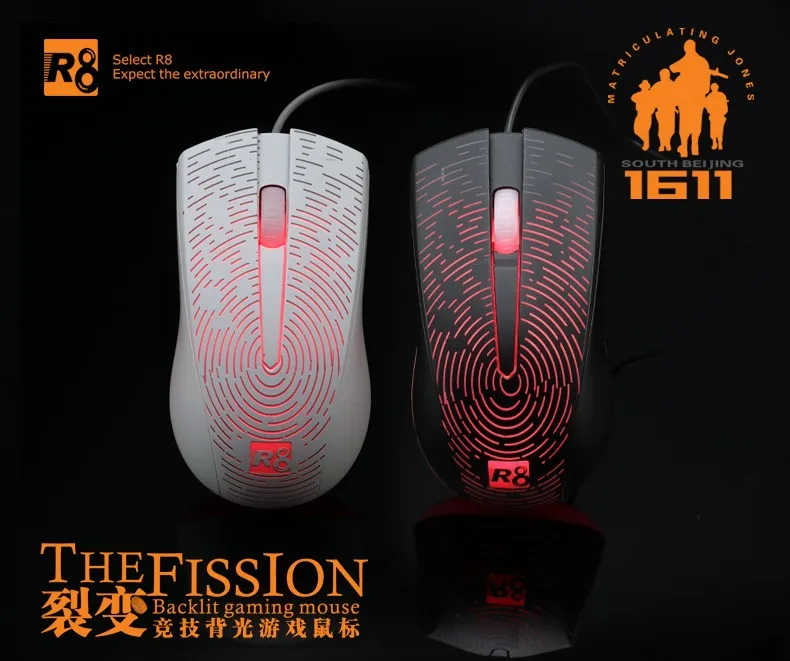 R8 161101.jpg