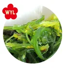 HACCP KOSHER HALAL FDA SEDEX BSCI quality wholesale China IQF frozen seaweed salad
