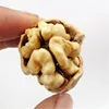 New crop cheap green shell whole walnuts fresh walnut