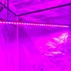 Indoor Grow Kit, Hydroponics Farming LED Led Grow light