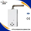 10L 220V exhaust pipe instant bathroom gas water heater