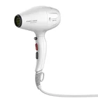 professional hair dryer 2500w worldwide voltage