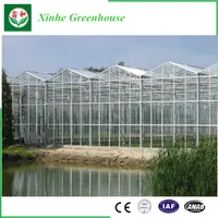New Condition Photovoltaic Glass Greenhouses Mulit