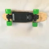 iFASUN High Quality Canada Wood deck Small Fish Electric Skateboard