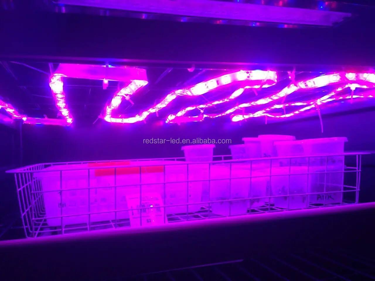 New Led Smart Zigbee Rgb Strip Light - ANKUX.COM