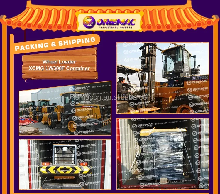 Wheel Loader XCMG LW300F Container1