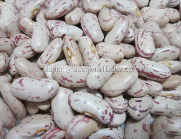 Light Speckled Kidney Beans 2.jpg