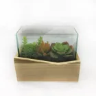 Artificial Succulent Plants Faux planter Animal pots for indoor decoration Plastic
