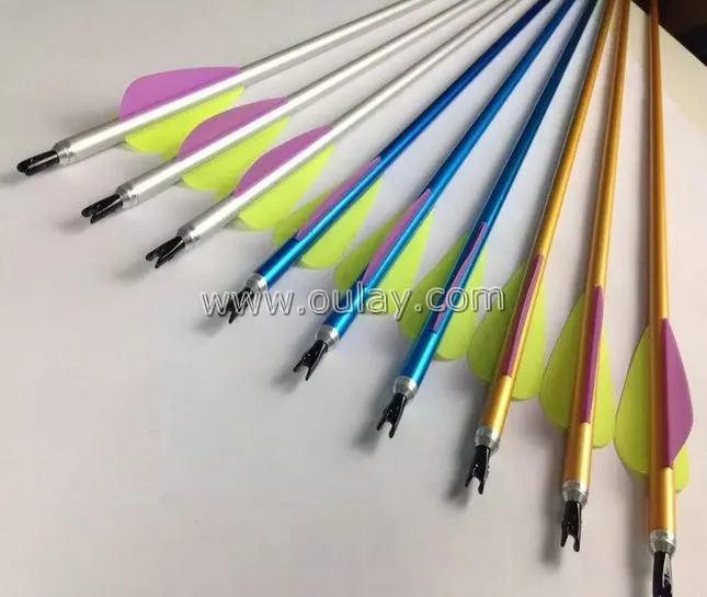 aluminium arrows with colorful rubber vanes.jpg