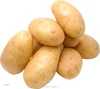 /product-detail/low-price-holland-seed-potato-from-china-potato-factory-60481292405.html