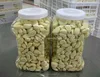/product-detail/cold-storking-fresh-white-garlic-natural-frozen-peeled-garlic-bulk-60468223854.html