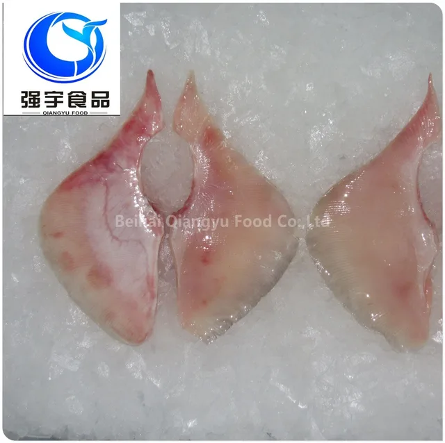 frozen seafood ray/skate wings fish fillet