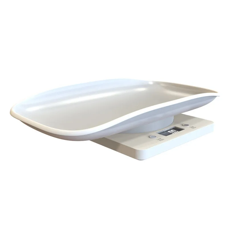 pet scale 05.jpg